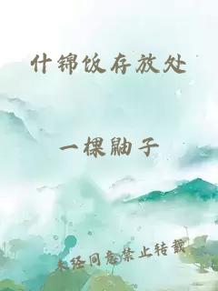 什錦飯存放處