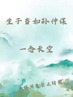 生子當(dāng)如孫仲謀