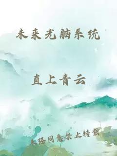 未來光腦系統(tǒng)