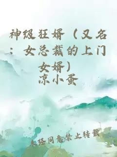 神級(jí)狂婿（又名：女總裁的上門女婿）