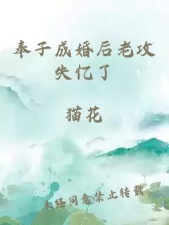 奉子成婚后老攻失憶了