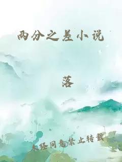 兩分之差小說