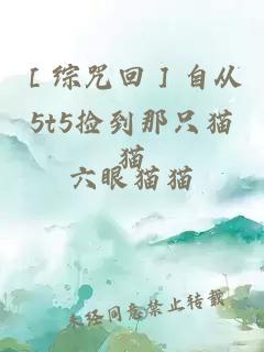 ［綜咒回］自從5t5撿到那只貓貓