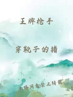 王牌槍手