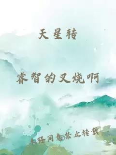 天星轉(zhuǎn)