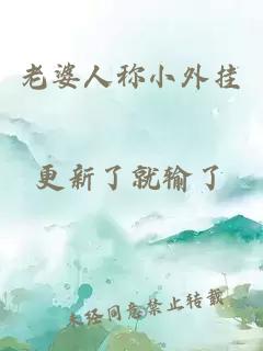 老婆人稱小外掛