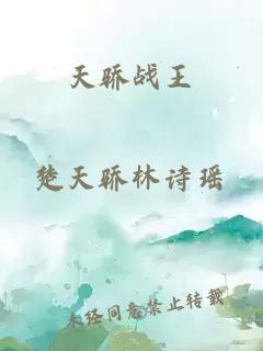 天驕戰(zhàn)王