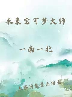 未來寶可夢大師