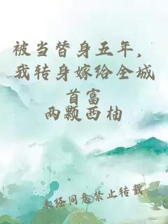 被當(dāng)替身五年，我轉(zhuǎn)身嫁給全城首富