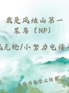 我是風燭山第一菜鳥（NP）