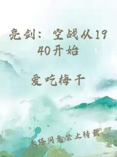 亮劍：空戰(zhàn)從1940開(kāi)始