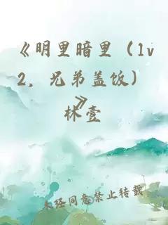 《明里暗里（1v2，兄弟蓋飯）》
