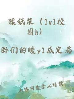 蹂紙漿（1v1校園h）