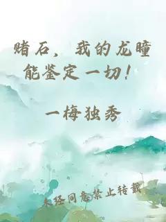 賭石，我的龍瞳能鑒定一切！