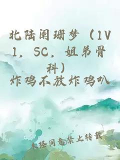 北陸闌珊夢（1V1，SC，姐弟骨科）