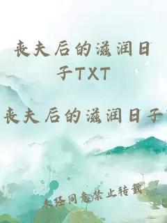 喪夫后的滋潤日子TXT