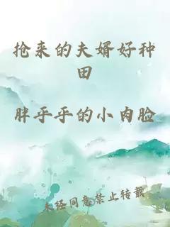 搶來(lái)的夫婿好種田
