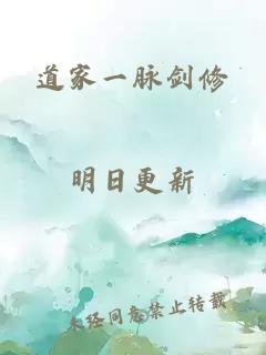 道家一脈劍修