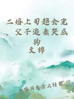 二婚上司超會寵，父子追妻哭成狗
