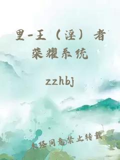 里-王（淫）者榮耀系統(tǒng)