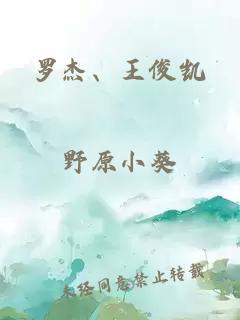 羅杰、王俊凱