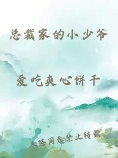 總裁家的小少爺