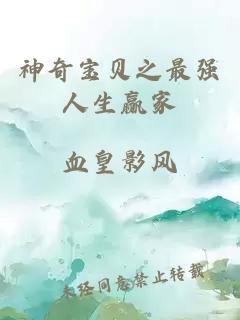 神奇寶貝之最強(qiáng)人生贏家