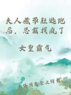 夫人藏孕肚逃跑后，總裁找瘋了