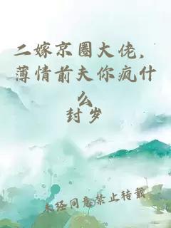 二嫁京圈大佬，薄情前夫你瘋什么