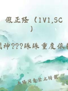 假正經(jīng)（1V1,SC）