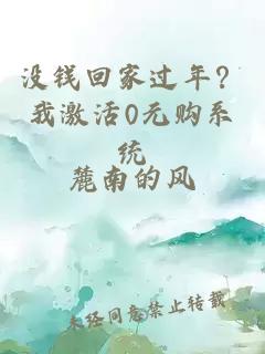 沒(méi)錢(qián)回家過(guò)年？我激活0元購(gòu)系統(tǒng)