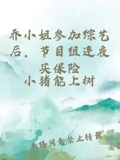 喬小姐參加綜藝后，節(jié)目組連夜買保險
