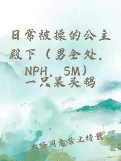 日常被操的公主殿下（男全處，NPH，SM）