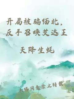 開局被騙緬北，反手召喚艾達(dá)王