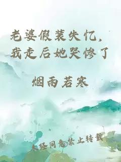 老婆假裝失憶，我走后她哭慘了