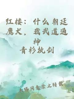 紅樓：什么朝廷鷹犬，我武道通神