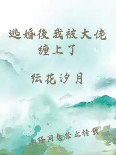 逃婚後我被大佬纏上了