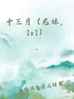 十三月（兄妹，1v1）