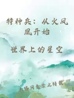 特種兵：從火鳳凰開始