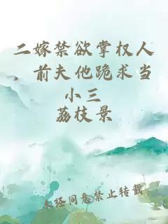 二嫁禁欲掌權(quán)人，前夫他跪求當(dāng)小三