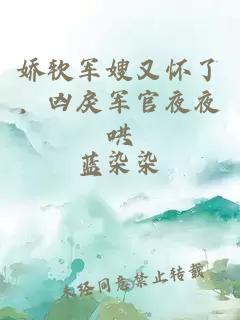 嬌軟軍嫂又懷了，兇戾軍官夜夜哄