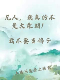 凡人，我真的不是大乘期！