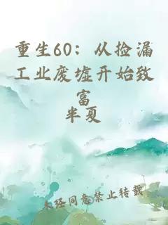 重生60：從撿漏工業(yè)廢墟開始致富
