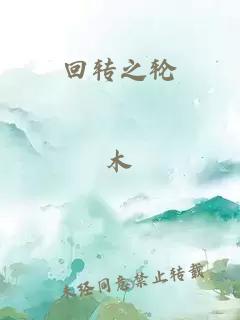 回轉(zhuǎn)之輪