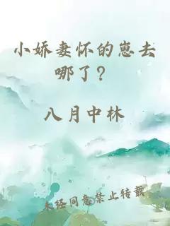 小嬌妻懷的崽去哪了？