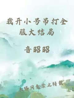 我開小號(hào)吊打全服大結(jié)局