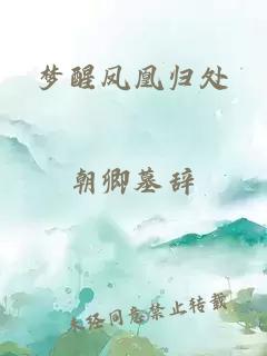夢(mèng)醒鳳凰歸處