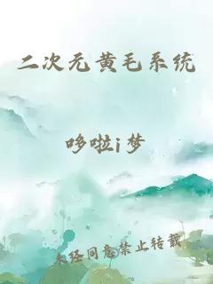 二次元黃毛系統(tǒng)