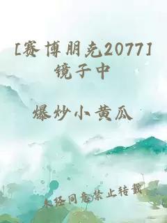 [賽博朋克2077]鏡子中