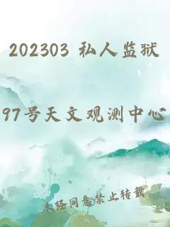 202303 私人監(jiān)獄